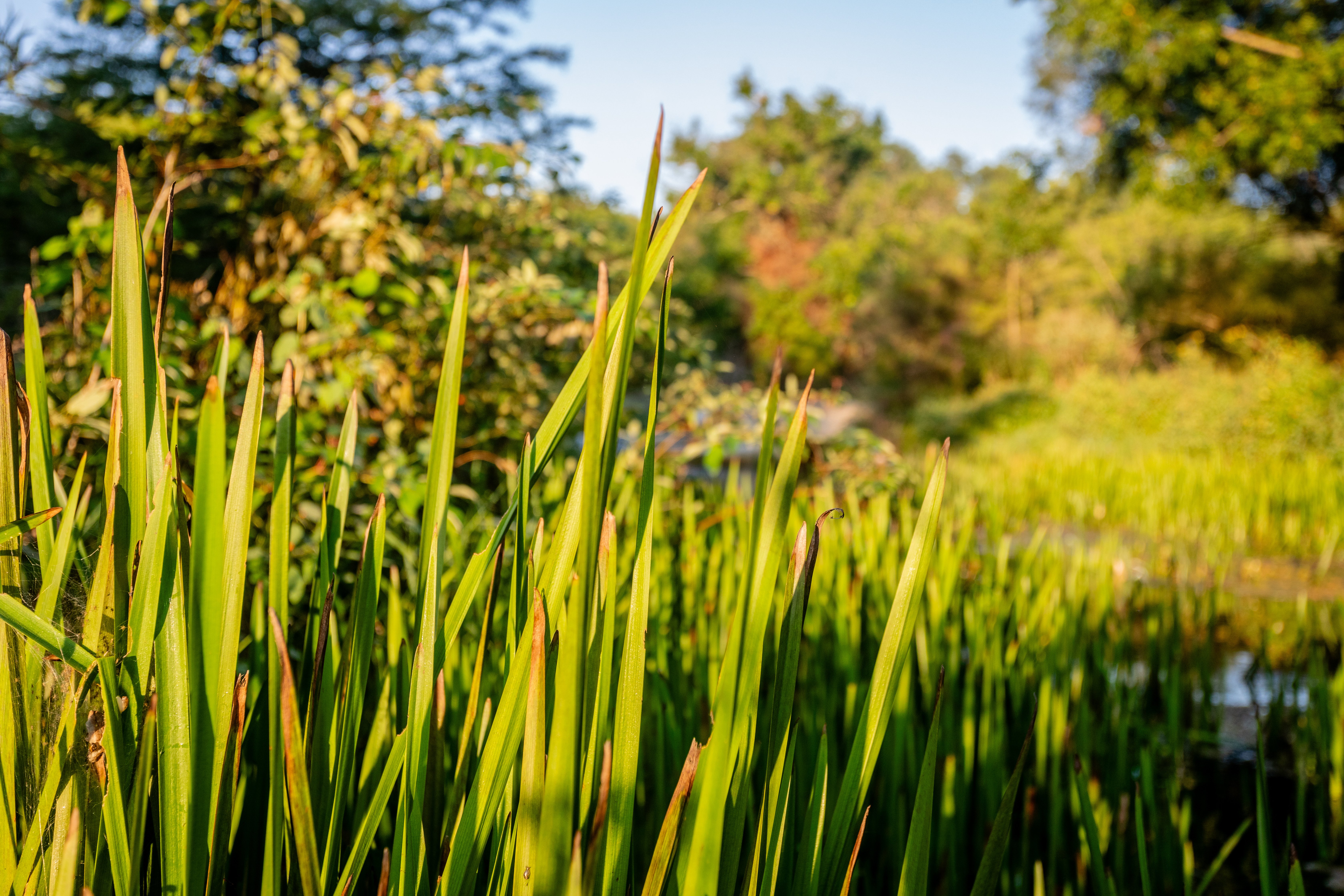 Byerly_Land(37)